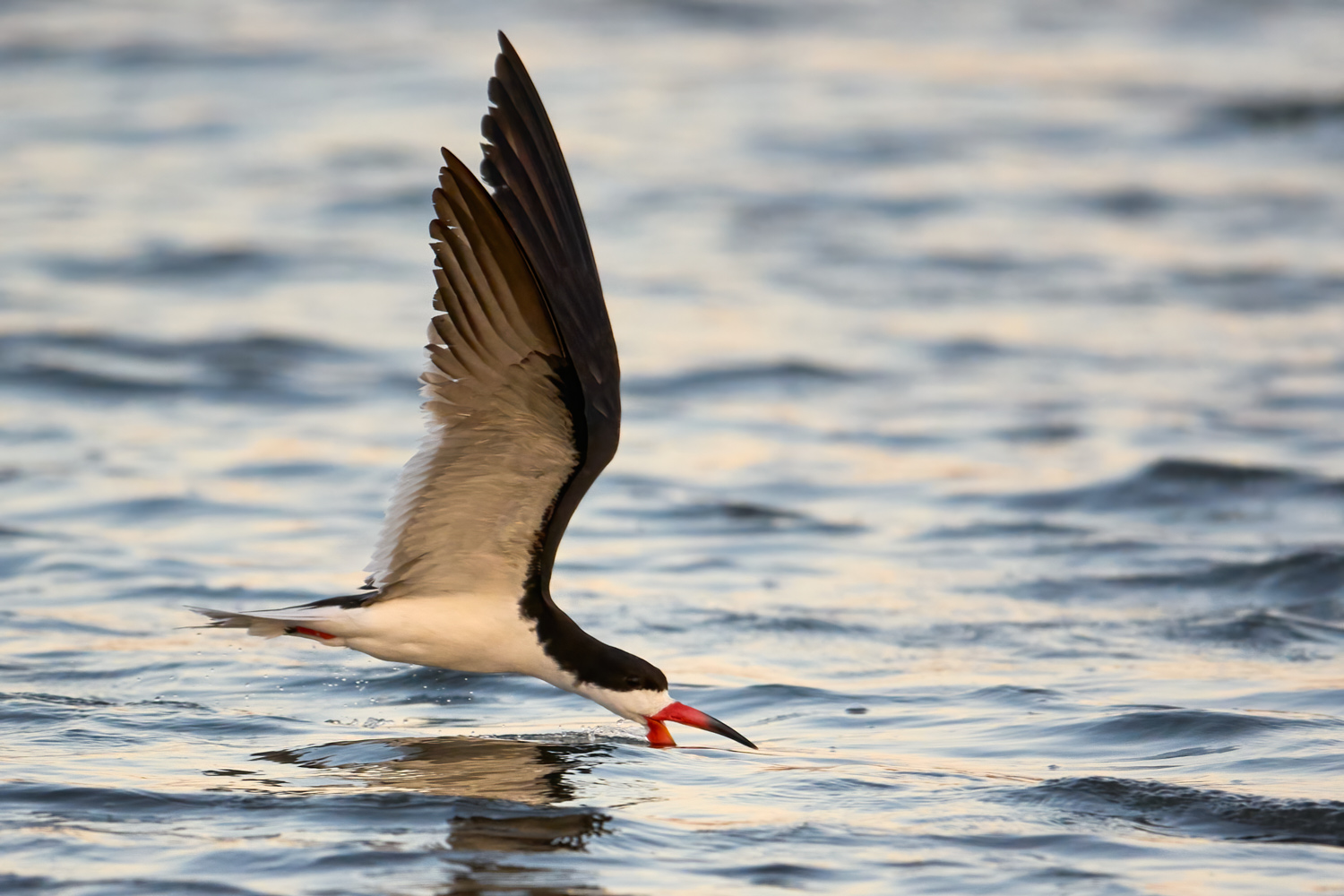 Jamaica Bay, July 26, 2013