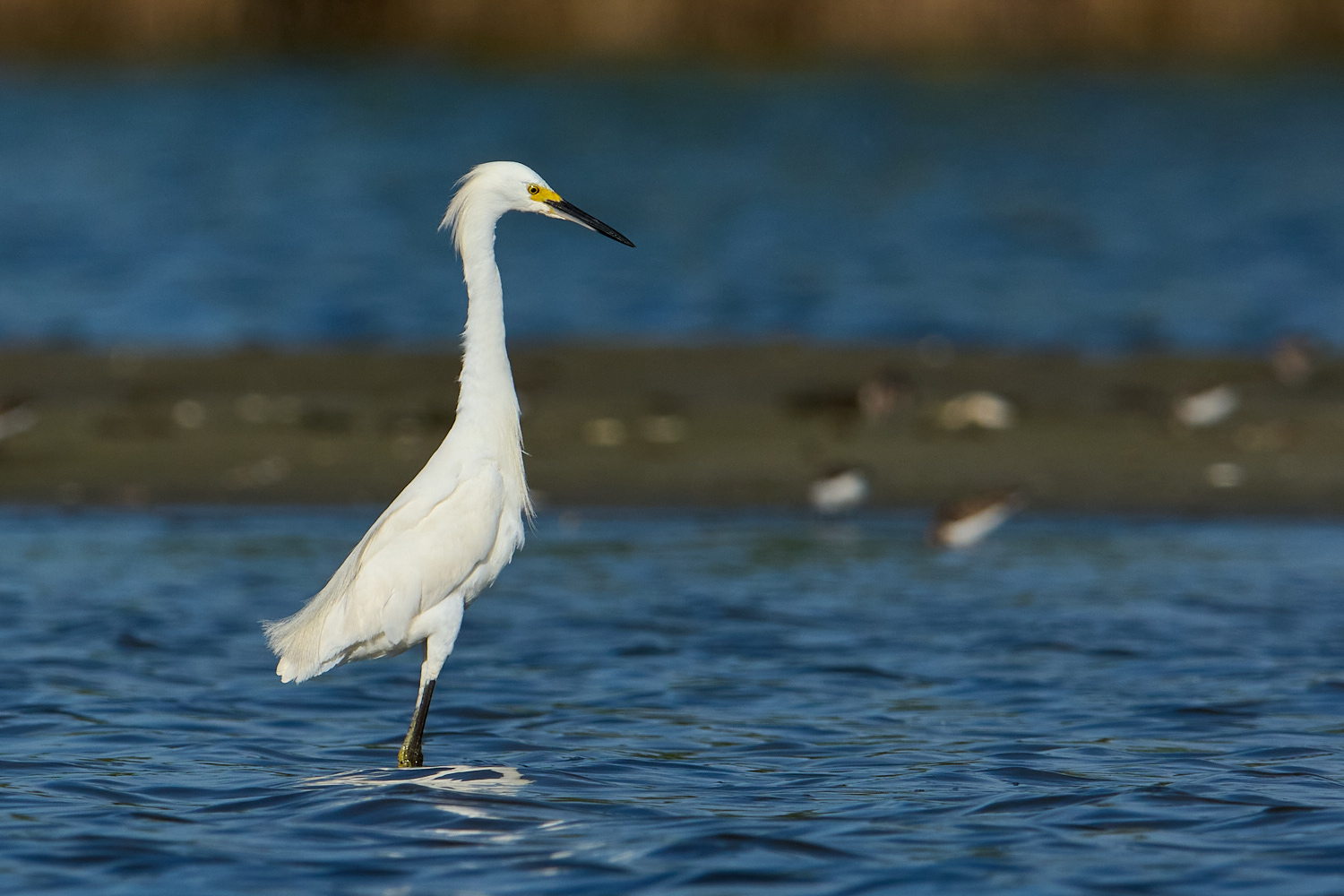 Jamaica Bay, August 10, 2013